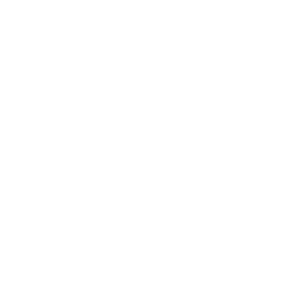 Aerodrini