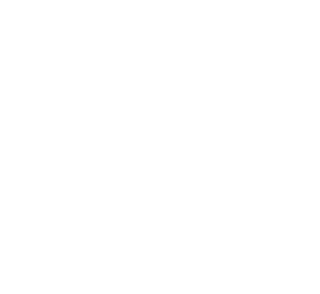 Aerodrini